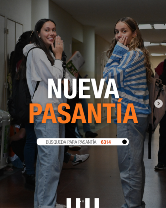 Nueva búsqueda